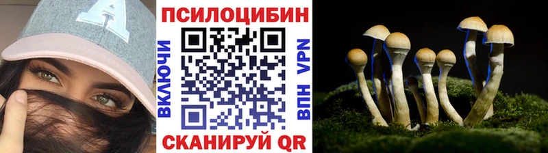 наркошоп  Венёв  Псилоцибиновые грибы MAGIC MUSHROOMS 